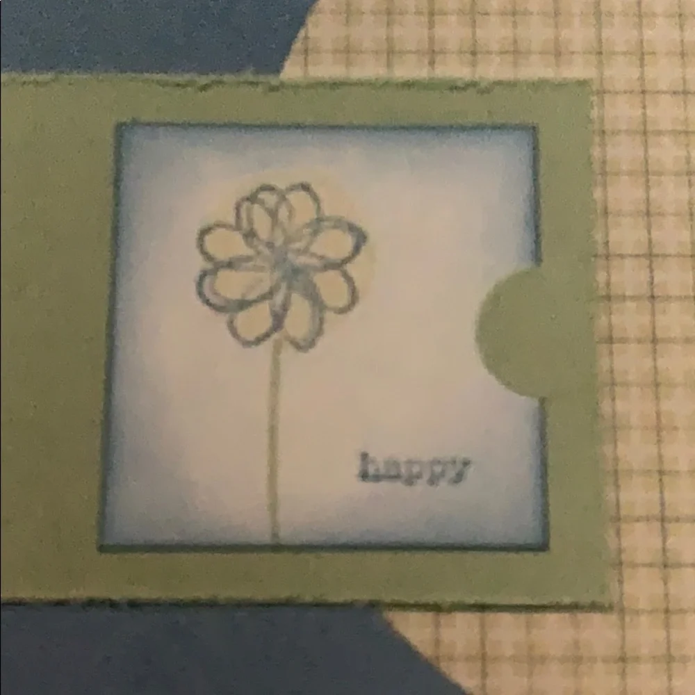 🎭 3/$25 - Springtime Stems Stampin Up Hostess two step set